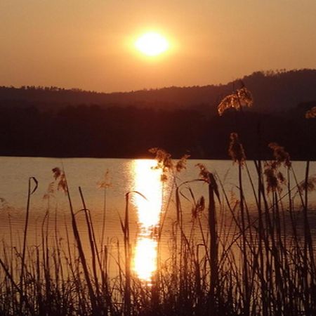 Ilsenhof Am Turnersee Obersammelsdorf Экстерьер фото
