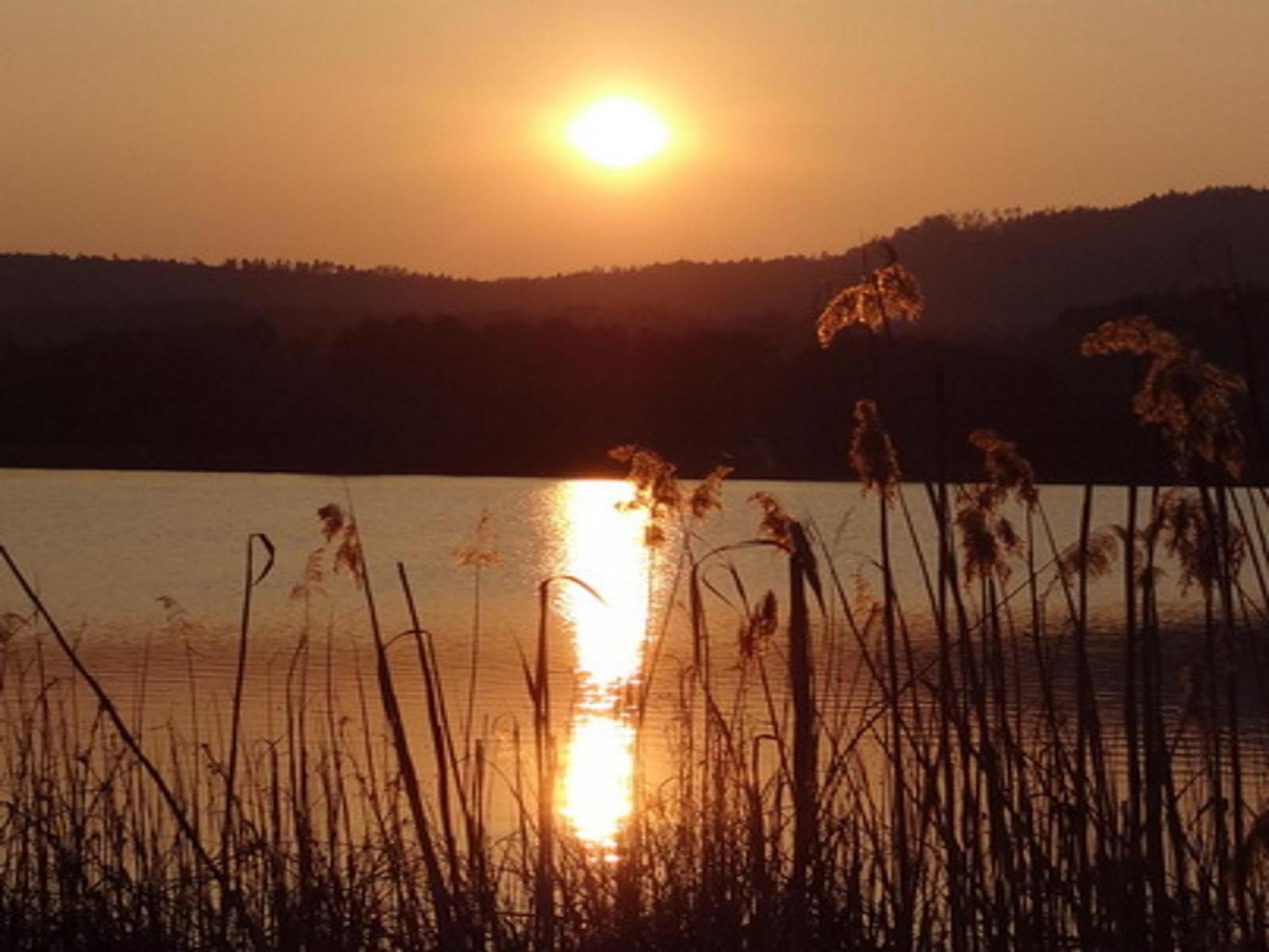 Ilsenhof Am Turnersee Obersammelsdorf Экстерьер фото