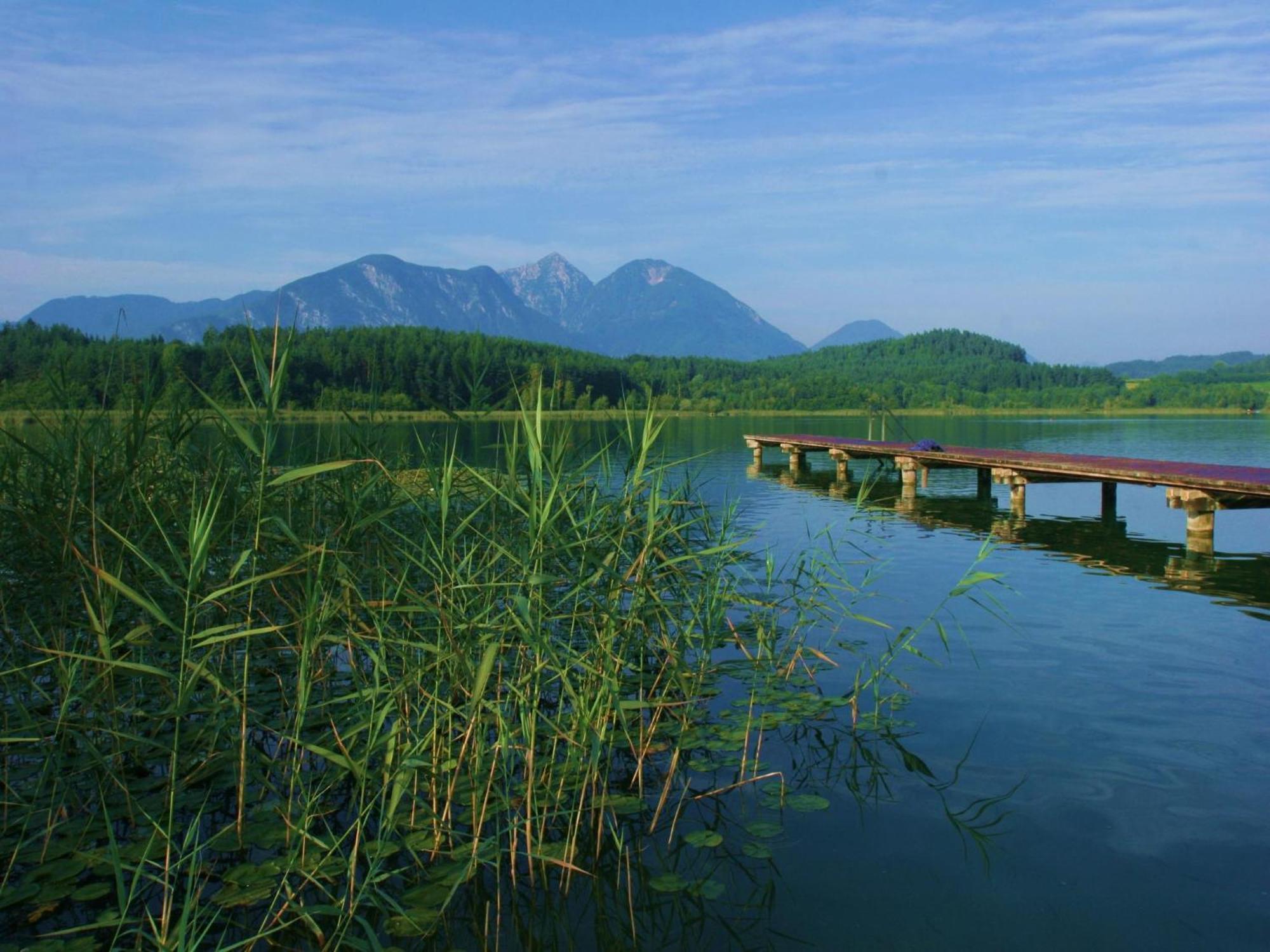 Ilsenhof Am Turnersee Obersammelsdorf Экстерьер фото